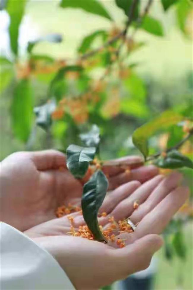 微信图片_20211102124750.jpg 微信图片_20211102124750.jpg